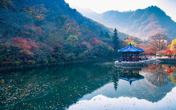 Reflection on f autum season Beautiful reflection of autumn season on Naejangsan Lake, South Korea. south korea stock pictures, royalty-free photos & images