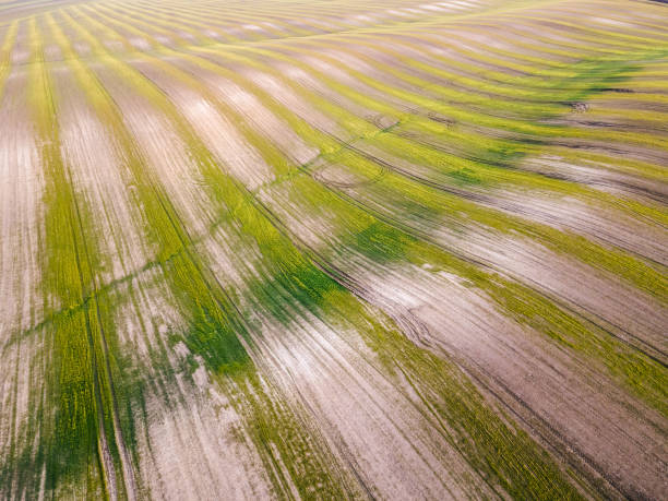 usda farm loans new mexico