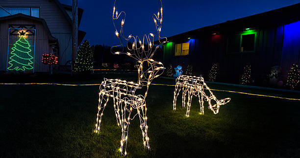 Reindeer Lights at Dusk stock photo