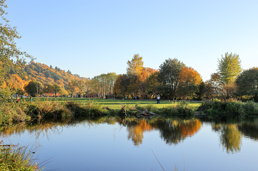 Entspannten Nachmittag Im Golden Gardens Park Seattle Washington