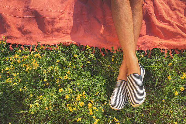 Relaxing in a meadow in the summer sun. stock photo