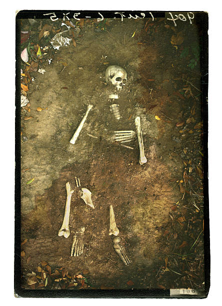 Remains stock photo