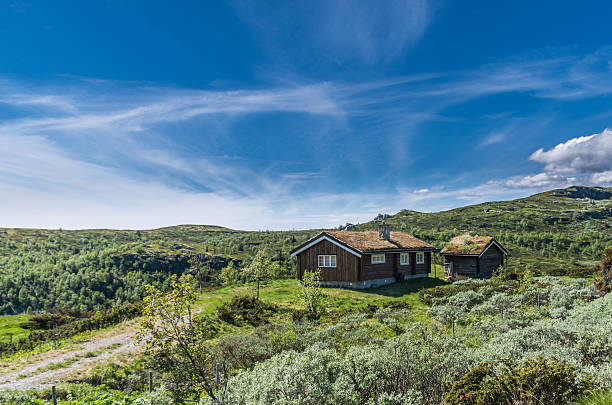 Remote grass roof cottage in Norway stock photo