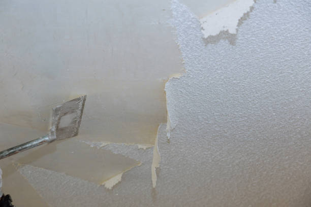 popcorn ceiling removal companies