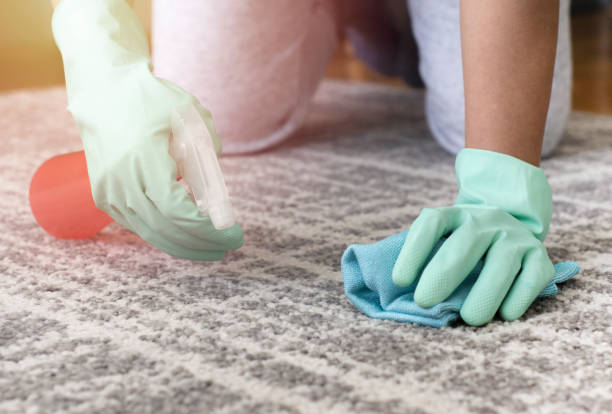  Carpet Cleaning Method