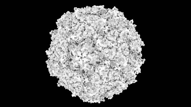 基於 pdb:2plv (表面遮擋式) 的科學精確脊髓灰質炎病毒電容結構的三維 cg 渲染圖像 - polio 個照片及圖片檔