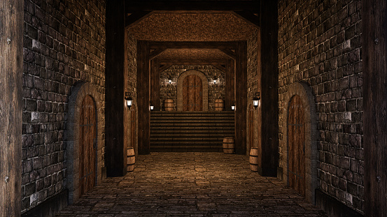 Medieval castle or inn corridor with stone walls, floor and steps leading to wooden door. 3D illustration.