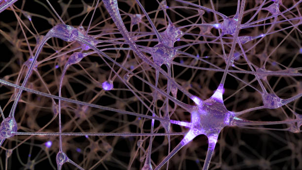 3D rendering of a network of neuron cells and synapses in the brain through which electrical impulses and discharges pass stock photo