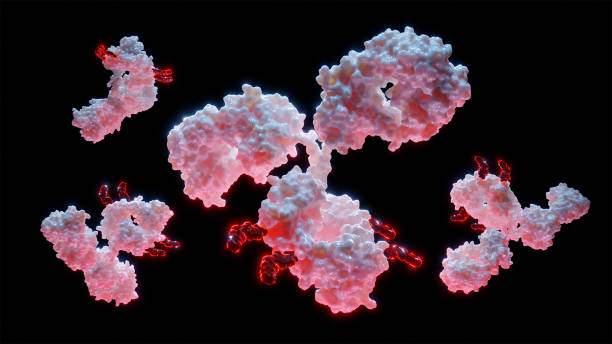 3D Rendering of Antibody Drug Conjugate Molecules stock photo