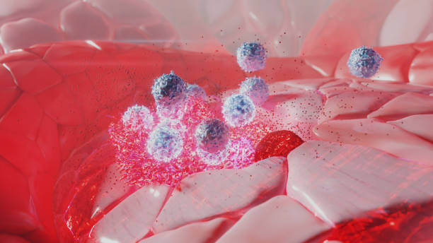 3D rendering of Natural Killer Cells attacking cancer stock photo