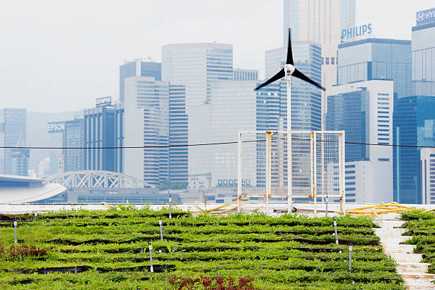 Renewable Energy Green Urban Farming in Hong Kong China This is a horizontal, color photograph of an urban farm in Central Hong Kong. Rows of green vegetables fill the foreground. A small wind turbine stands in front of the city skyline. urban garden stock pictures, royalty-free photos & images