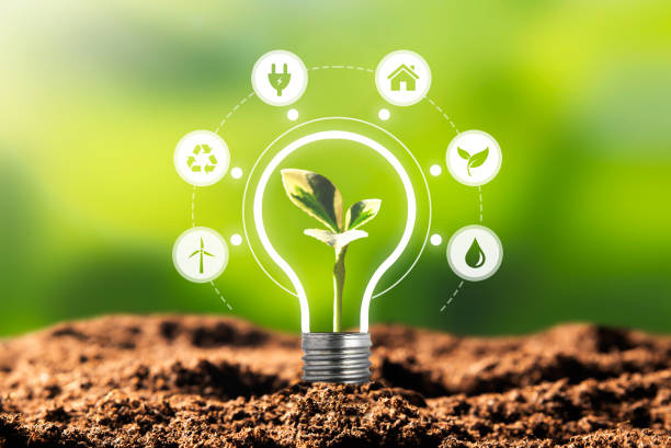 Renewable, sustainable energy sources concept Environmental protection, renewable, sustainable energy sources. Plant growing in the bulb concept energy efficient stock pictures, royalty-free photos & images