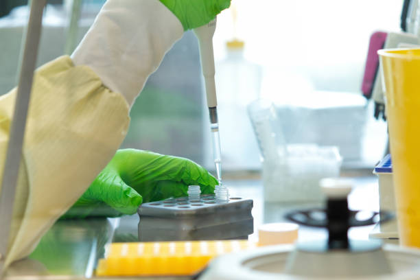 Research scientist pipetting reagents to a plate stock photo