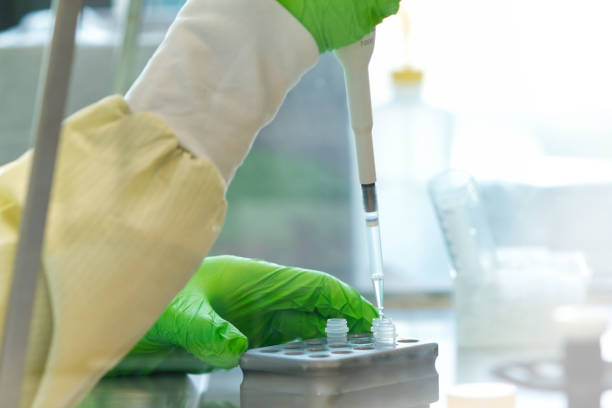 Research scientist pipetting reagents to a plate stock photo
