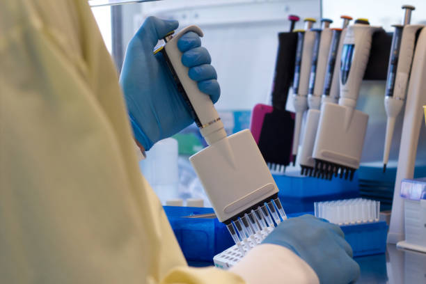 Research scientist pipetting reagents to a plate using a multichannel pipette stock photo