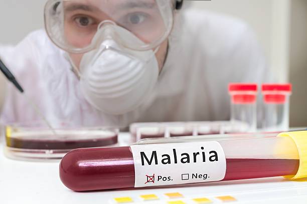 researcher is analyzing test tube with malaria. - malaria stockfoto's en -beelden