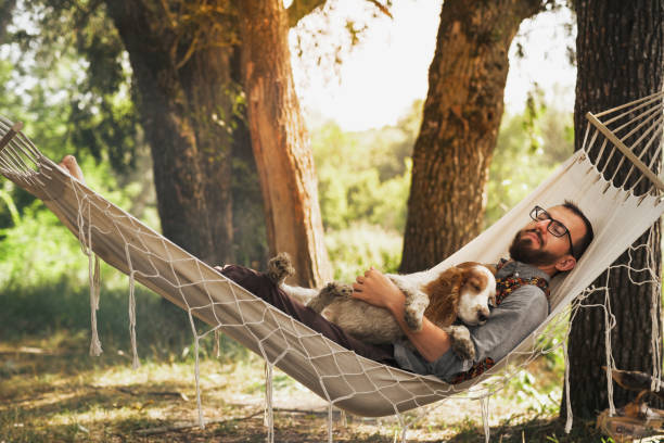 Resting with dog in a hammock outdoors stock photo