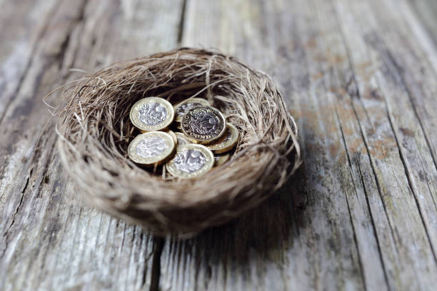 Retirement savings British pound coins in birds nest egg Retirement savings British pound coins in birds nest egg concept for pension plans nest egg stock pictures, royalty-free photos & images