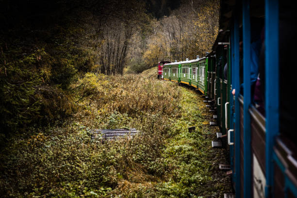 Retro Train Trough Wilderness of Bieszczady Mountains in Poland at Autumn. Dramatic Weather and Moody Toned Colors. Retro Train Trough Wilderness of Bieszczady Mountains in Poland at Autumn. Dramatic Weather and Moody Toned Colors. bieszczady mountains stock pictures, royalty-free photos & images