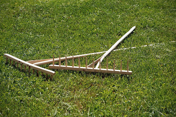 Royalty Free Antique Hay Rake Pictures, Images and Stock Photos - iStock