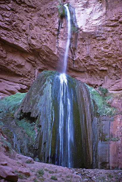 Ribbon Falls The Grand Canyon is a steep-sided canyon carved by the Colorado River. It is 277 miles long, up to 18 miles wide and attains a depth of over a mile. The canyon and adjacent north and south rims are contained within Grand Canyon National Park, the Kaibab National Forest, Grand Canyon-Parashant National Monument, the Hualapai Indian Reservation, the Havasupai Indian Reservation and the Navajo Nation. In the Grand Canyon the carving of the Colorado River has exposed nearly two billion years of the earth's geological history and created some stunning scenery. Ribbon Falls is about 6 miles north of the Colorado River in Grand Canyon National Park, Arizona, USA. jeff goulden scanned film stock pictures, royalty-free photos & images