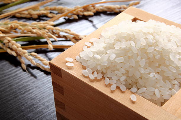 rice and oryza sativa,japonica - ris basmat bildbanksfoton och bilder