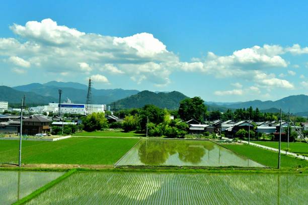 Rice Paddy and Rural Landscape of Japan Rural landscape of Japan after rice-planting, taken from Tokaido Shinkansen Super Express in Shiga Prefecture before reaching Kyoto from Nagoya. satoyama scenery stock pictures, royalty-free photos & images