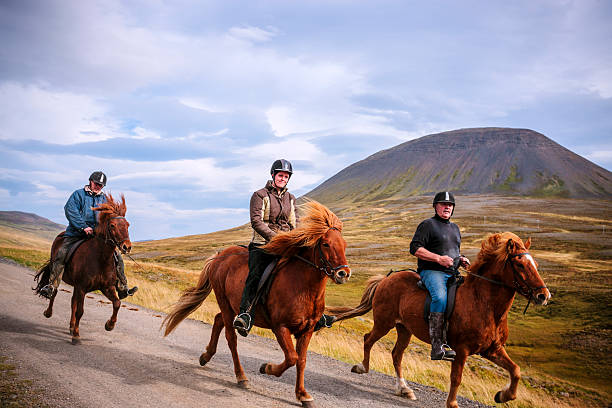 riding icelandic ponies - ijslandse paarden stockfoto's en -beelden
