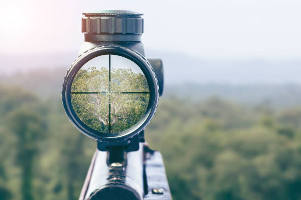 rifle target view on Natural Background. Image of a rifle scope sight used for aiming with a weapon stock photo