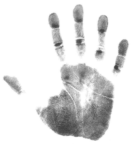 Right hand (51 MegaPixels) Large size and detailed picture. handprint stock pictures, royalty-free photos & images