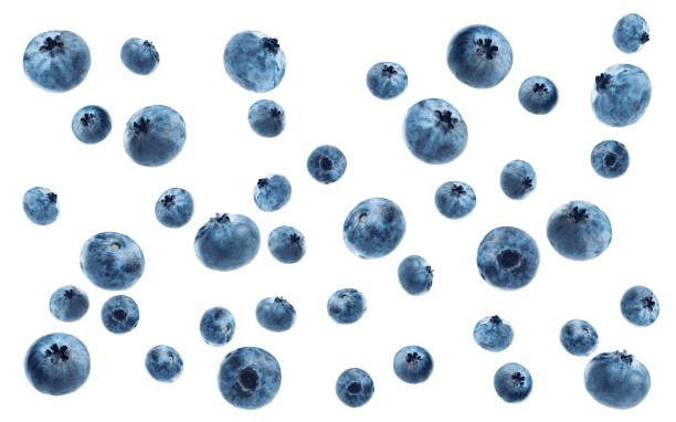 ripe blueberries stock photo