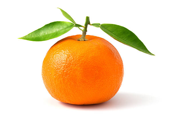 Ripe orange stock photo