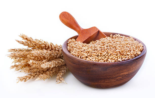 Ripe wheat stock photo