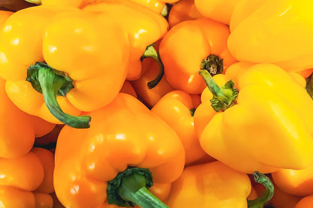 Ripe yellow bell pepper. Selling vegetables at supermarket or farmers market. Eco food. stock photo