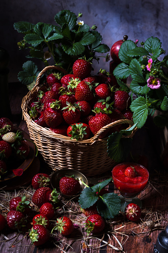 Ripen fresh strawberries in wicker basket on dark background with green leaves and pink blossoms on strawberry plants, fresh fruit and food concept