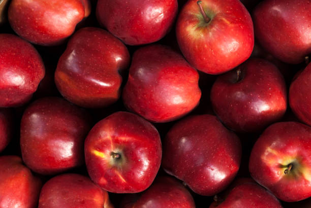 Ripped raw red apples stock photo