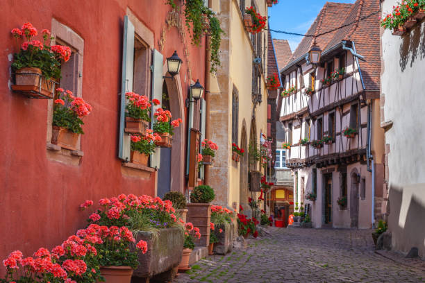 Riquewihr alsatian architecture at springtime with flowers, Eastern France stock photo
