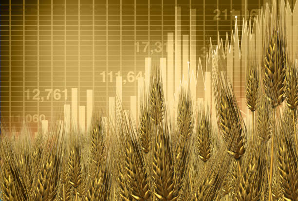 Rising Wheat Prices stock photo