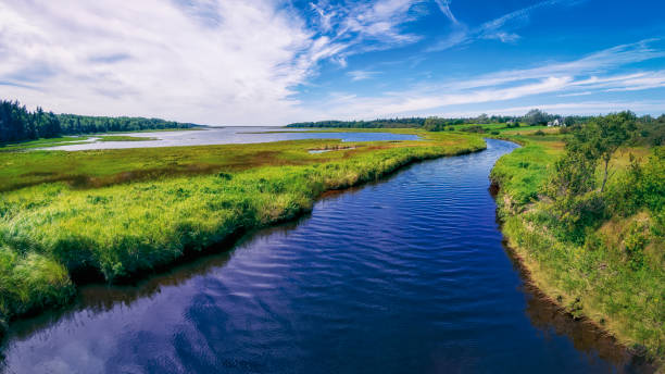 River and Marshland stock photo