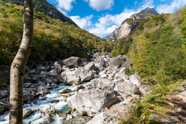 River bed of the verzasca stock photo