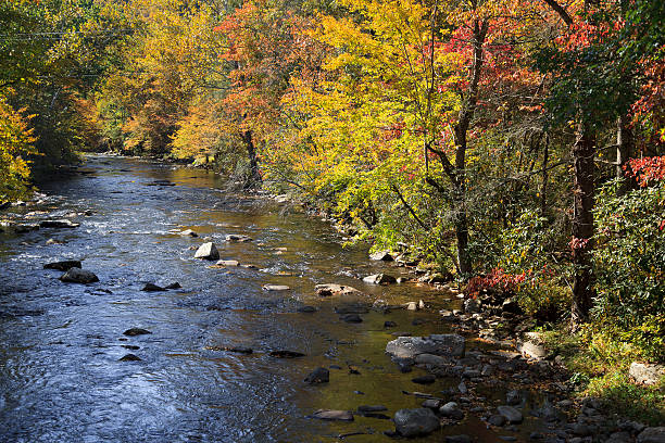 River in North Carolina in the fall stock photo