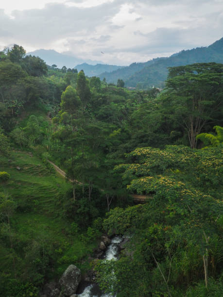 River in the surroundings of Jardin, Colombia stock photo