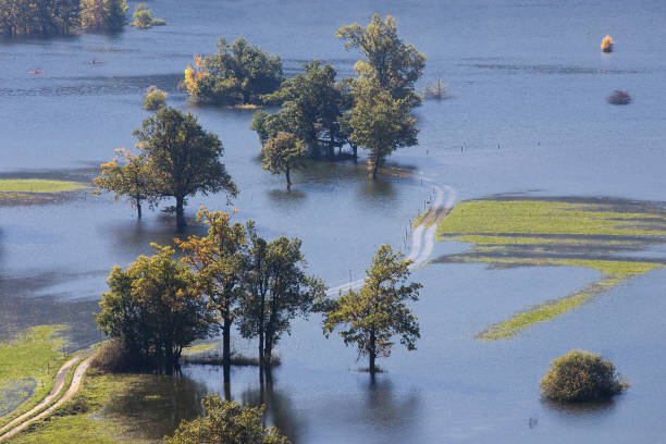 River overflowed the valley - Flooded fields of Planinsko polje, Slovenia stock photo