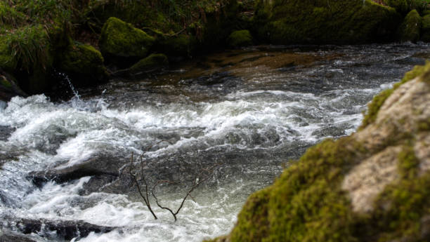 River running through woodland stock photo