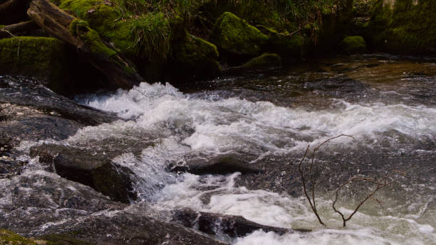 River running through woodland stock photo