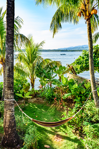 Riverside view in estuary to the Caribbean Sea with hammock hanging between coconut palms in Caribbean town in Guatemala