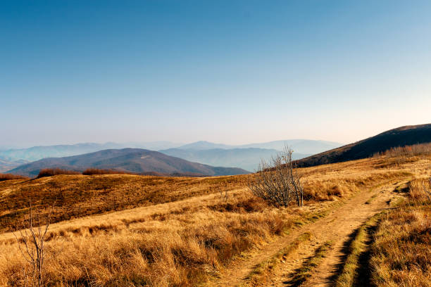 road in the mountains. Autumn landscape in sundown. road in the mountains. Autumn landscape in sundown. bieszczady mountains stock pictures, royalty-free photos & images