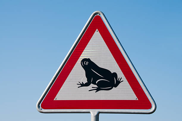 Road Sign Frog stock photo