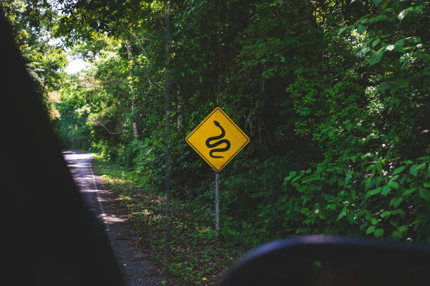 Road sign with warning of snakes along the street to Tikal, Peten, Guatemala stock photo