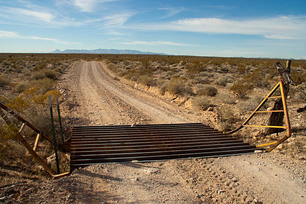 Road to Fun Dirt road to four wheeling areas with cattle guard in foreground, mountains sage and desert plants in distant. cattle grid stock pictures, royalty-free photos & images